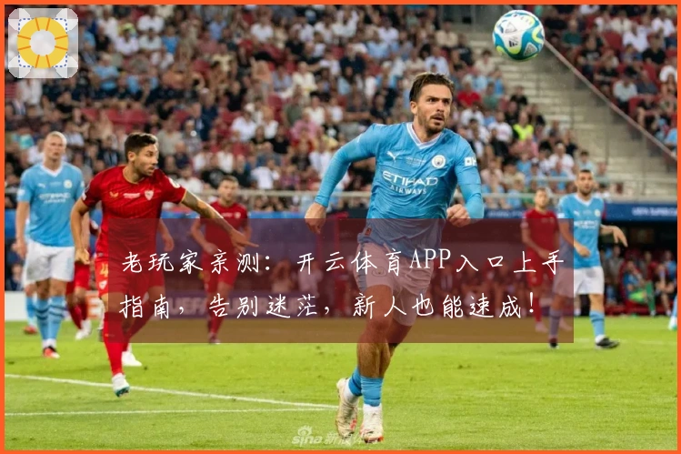 老玩家亲测：开云体育APP入口上手指南，告别迷茫，新人也能速成！