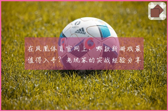 在凤凰体育官网上，哪款新游戏最值得入手？老玩家的实战经验分享！